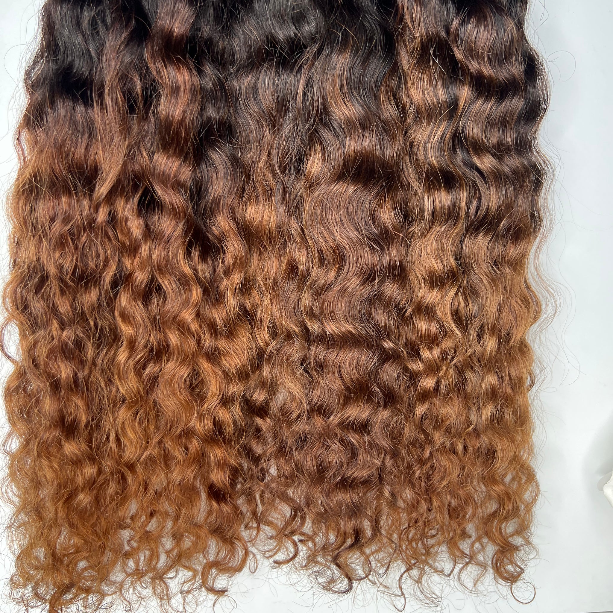 Ombre: Indian Curly Bundle Custom Colored